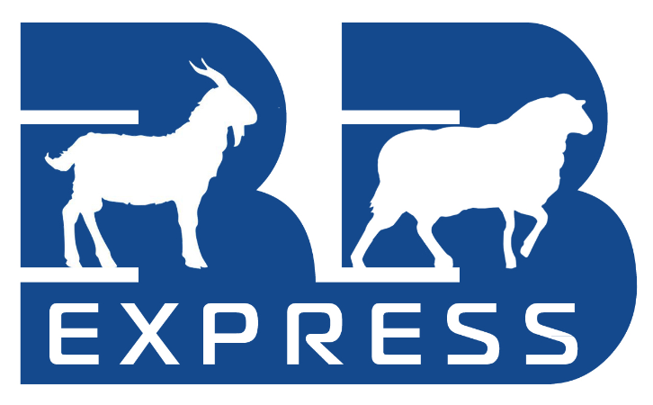 BB EXPRESS LLC